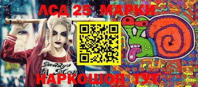 крисы Берёзовский