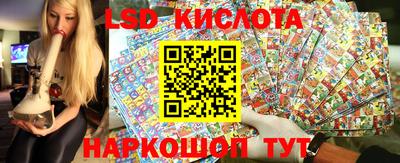 крисы Берёзовский