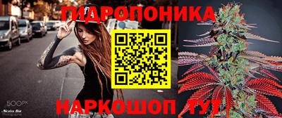 крисы Берёзовский